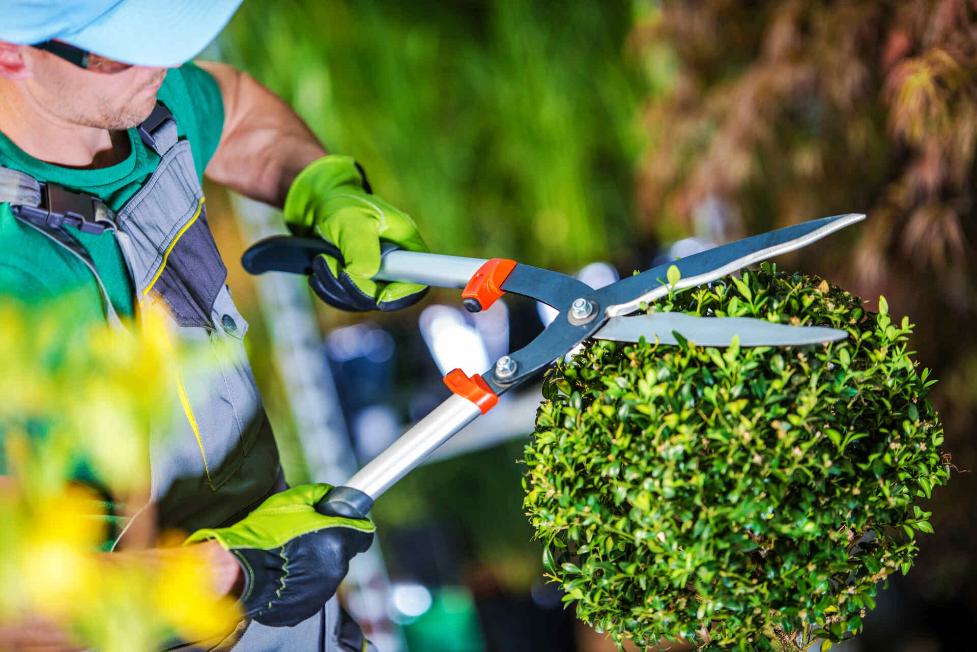  Your All-in-One Landscaping & Garden Experts