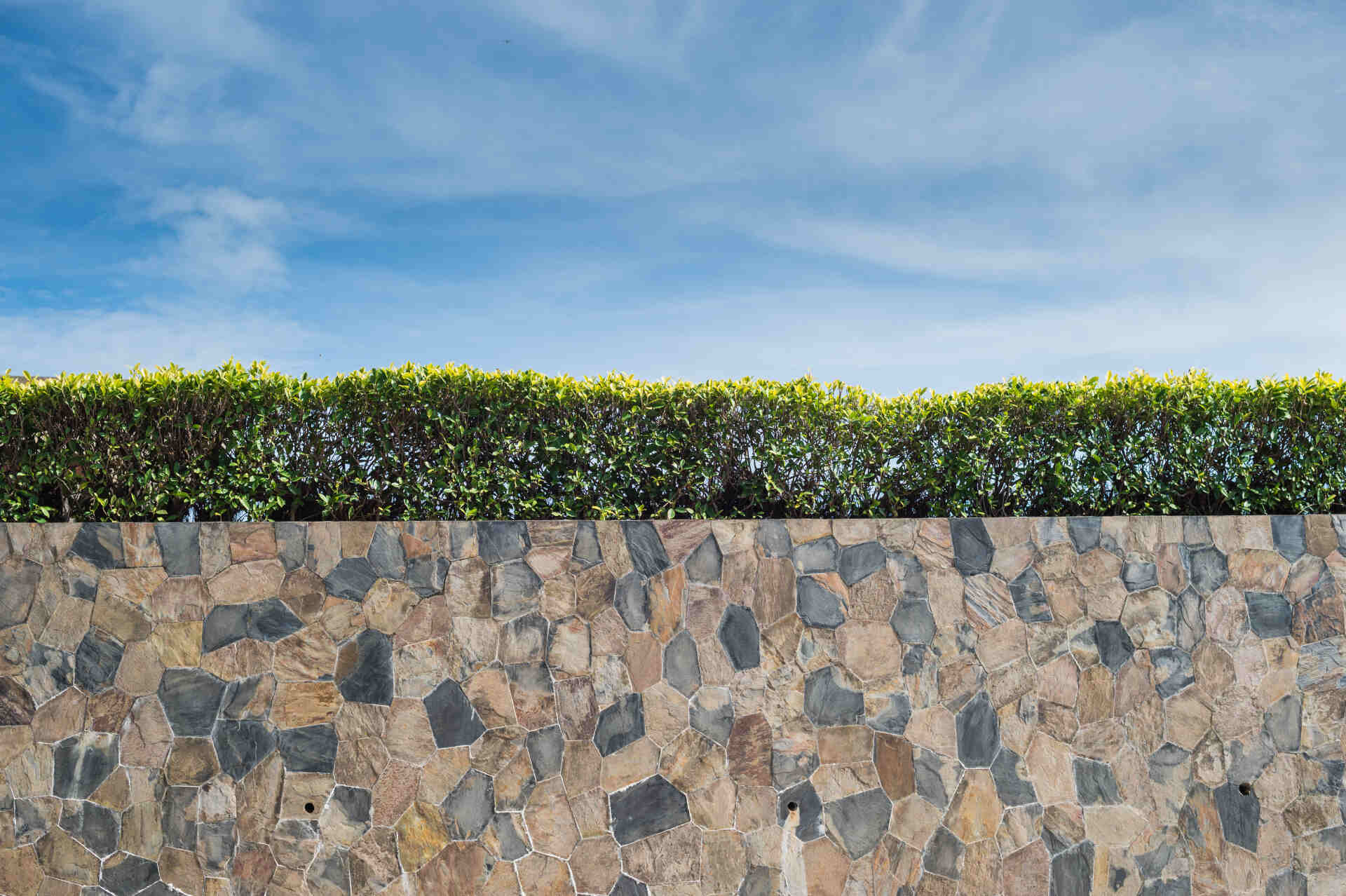 Precision Paving for a Perfect Outdoor Finish