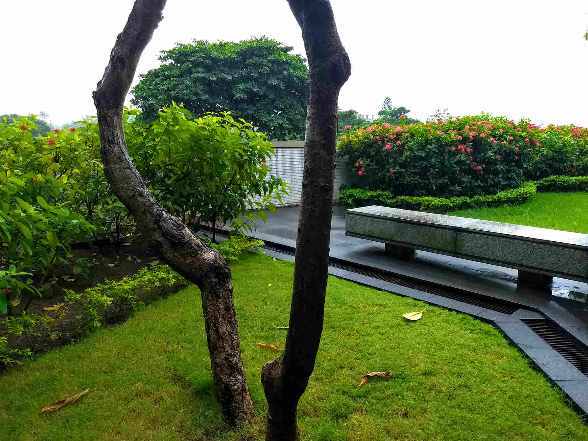 Transform Your Outdoors with Buffalo Landscaping